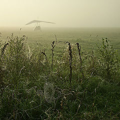 фото "Утро туманное"