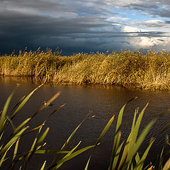 фото "Грозовой фронт"