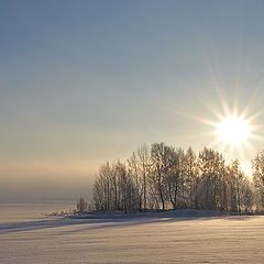 фото "Снежное безмолвие"