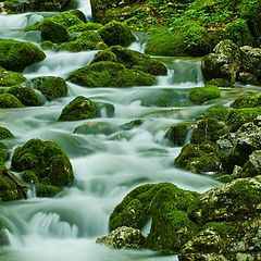 фото "Na Triglav"