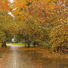 photo "Golden Autumn"