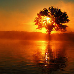 photo "***"