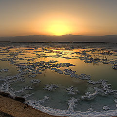 photo "Dead Sea -2"