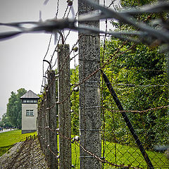 photo "Fences of hawthorns and electrical fence in Dachau"