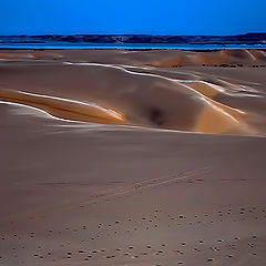 photo "Sand dunes# 4"