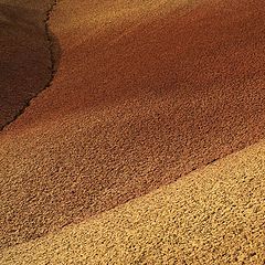 photo "Painted Hills"