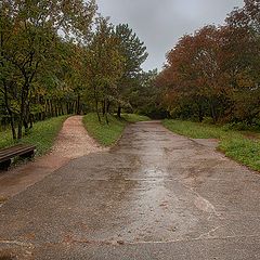 фото "Старый парк ..."