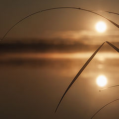 photo "Bitter smoke of parting"