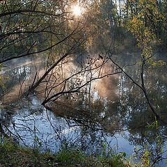 photo "mermaid pond at dawn"