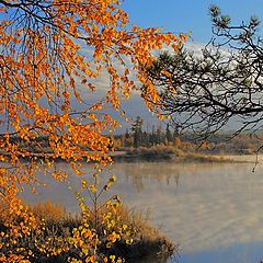 фото "Сквозь золото листьев - утро на реке Ия"