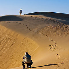 фото "Friends at work"