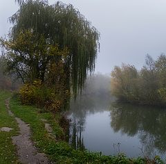 фото "Тропинка в осень..."