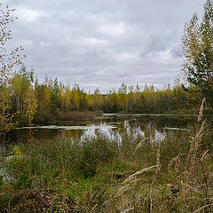 фото "Краски осени"