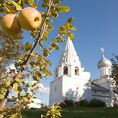 фото "Райские яблочки"