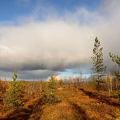 фото "Осеннее"