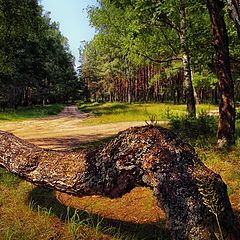 фото "Лавочка"