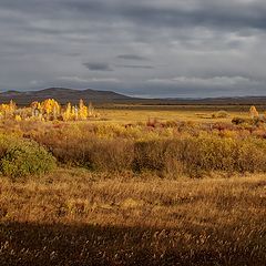 фото "Краски ... ."