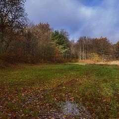 photo "I fall asleep on the leaves of rain ..."