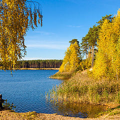 photo "Golden Autumn"