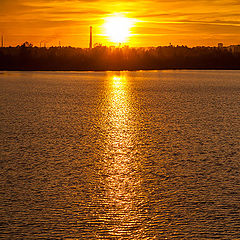 photo "Golden road"