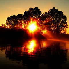 photo "***"