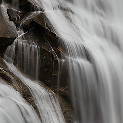 photo "Water Rhapsody"