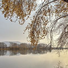 фотоальбом "Прогулки по лесу"