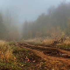 фото "Осень.."