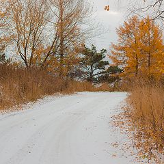 фото "Первый накат зимы"