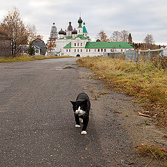 фото "Со службы"