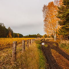 photo "***"
