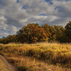 фото "Осень.."