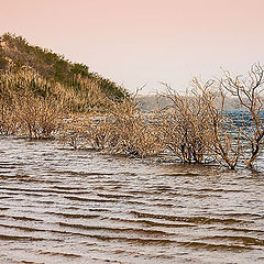 фото "The LAKE"