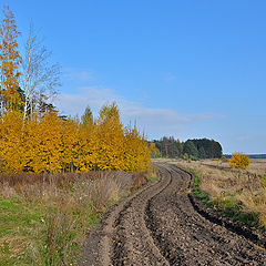 фото "Осенняя"