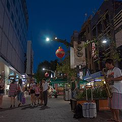 фото "Последняя мелодия"