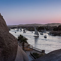 фото "The Nile at Aswan"