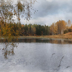 photo "autumn water color"