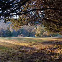 photo "***"