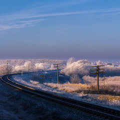 photo "Rime, or turn in the IR world ..."