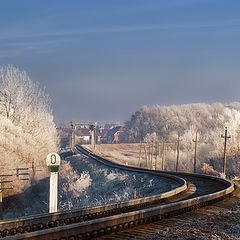 photo "Rime, or turn in the IR world 2..."