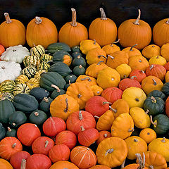 photo "Pumpkins"