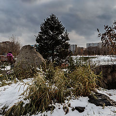 фотоальбом "Городские зарисовки"