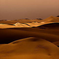 photo "SAND DUNES IN EARLY MORNING"