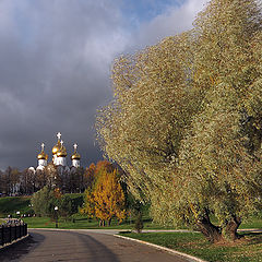 фото "Старая ива"