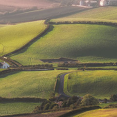 photo "Irish farmland"