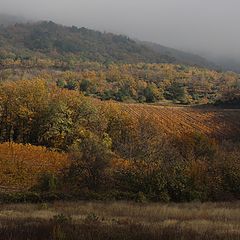 фото "Осень в Крыму"