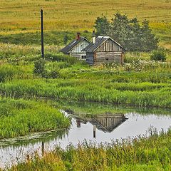 фото "Родина"