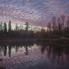 фото "Утренняя нежность"