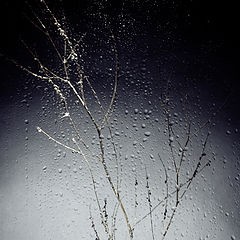 фото "Rainy autumn"