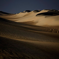 фото "Dunes 24"